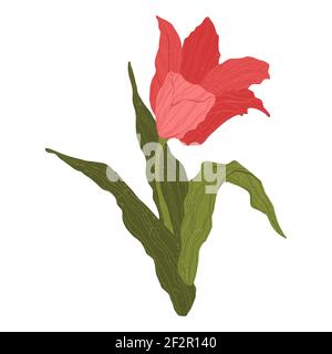 Einzelne helle Tulpe in flachen Cartoon-Stil. Isoliert auf Weiß. Wilde Frühlingswildblume mit Blatt in flachem Stil. Symbol für Frauentag und Muttertag. Stock Vektor