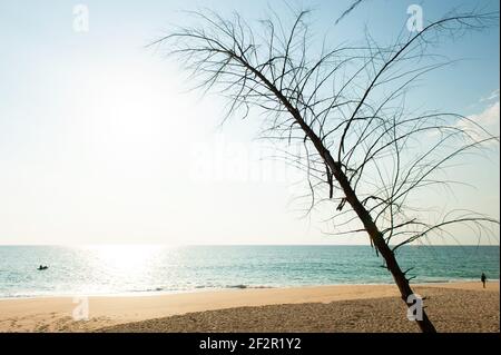 Tropisches Meer im sonnigen Sommer. Zwei Touristen Sonnenbaden am Strand, Kajakfahren im Meer. Abstrakte Form von getrockneten Kiefern. Tai Muang Beach, Thailand. Stockfoto