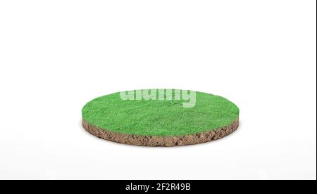 3D Rendern. Runder Bodenquerschnitt mit grünem Gras auf weißem Hintergrund. Stockfoto