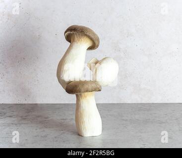 Eringi oder König Austernpilz. Gleichgewicht schwimmende Lebensmittel Gleichgewicht. Stockfoto