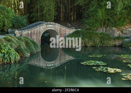 Chinese Scholar's Garden in Hamilton Gardens, Waikato Region auf North Island Von Neuseeland Stockfoto