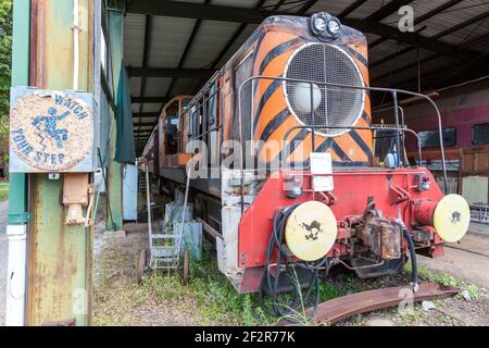 Alte Lokomotive, Lachlan Valley Railway Museum, Cowra, NSW Australien Stockfoto