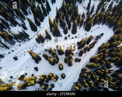 Luftdrohnenaufnahme einer kurvigen Straße durch den Wald an den Bergen im Winter in Almaty, Kasachstan