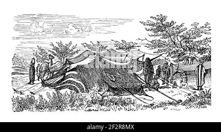 Antike Gravur aus dem 19. Jahrhundert eines Stammes von Beni Sakher, Jordanien. Illustration veröffentlicht in Systematischen Bildern-Atlas zum Conversations-Lexikon Stockfoto