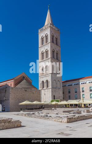 Glockenturm zwischen der Kirche des Heiligen Donatus und der Kathedrale der Heiligen Anastasia in Zadar, Kroatien Stockfoto