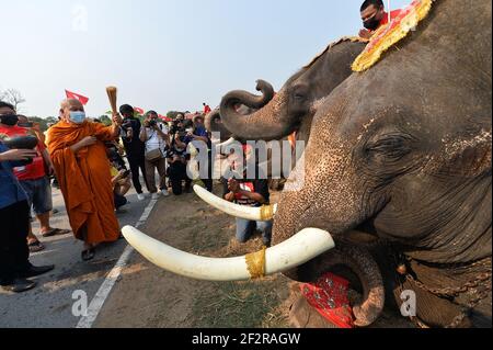 Bangkok, Thailand. März 2021, 13th. Ein Mönch betet am National Elephant Day in Ayutthaya, Thailand, 13. März 2021. Während der Feier werden verschiedene Aktivitäten durchgeführt, um das Bewusstsein der Öffentlichkeit für den Schutz der Elefanten und ihrer Lebensräume zu schärfen. Quelle: Rachen Sageamsak/Xinhua/Alamy Live News Stockfoto