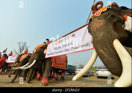 Bangkok, Thailand. März 2021, 13th. Mahouts und Elefanten nehmen am National Elephant Day in Ayutthaya, Thailand, am 13. März 2021 Teil. Während der Feier werden verschiedene Aktivitäten durchgeführt, um das Bewusstsein der Öffentlichkeit für den Schutz der Elefanten und ihrer Lebensräume zu schärfen. Quelle: Rachen Sageamsak/Xinhua/Alamy Live News Stockfoto