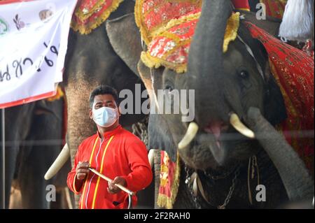 Bangkok, Thailand. März 2021, 13th. Mahouts und Elefanten nehmen am National Elephant Day in Ayutthaya, Thailand, am 13. März 2021 Teil. Während der Feier werden verschiedene Aktivitäten durchgeführt, um das Bewusstsein der Öffentlichkeit für den Schutz der Elefanten und ihrer Lebensräume zu schärfen. Quelle: Rachen Sageamsak/Xinhua/Alamy Live News Stockfoto