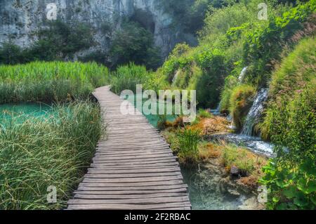 Holzsteg führt durch plitvicer Seen Nationalpark in Kroatien Stockfoto