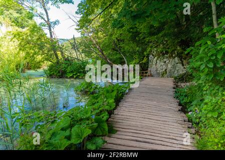 Holzsteg führt durch plitvicer Seen Nationalpark in Kroatien Stockfoto