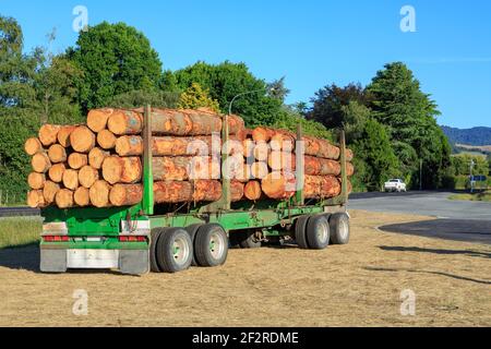 Ein mit Kiefernholzstämmen beladener Holzanhänger wartet vorbei Die Seite der Straße in Neuseeland Stockfoto