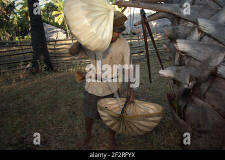 Andreas Mooy gießt palmsaft in eine Schale aus lontarpalmenblättern in Oehandi Dorf, Rote Insel, Ost Nusa Tenggara, Indonesien. Stockfoto