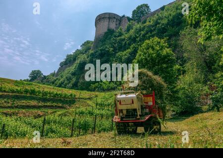 Blick auf den Weinberg und die Burgmauer (Im Vordergrund ein kleiner Traktor mit einem Stapel von Gesammelter Rasen) Stockfoto