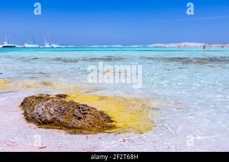 Blick auf den Strand der Insel Formentera (Im Vordergrund ein Texturstein mit gelben Algen) Spanien Stockfoto
