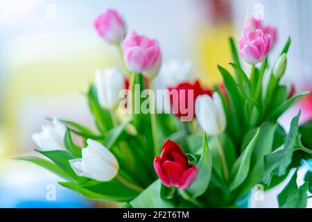Ein Bouquet von bunten Tulpen Stockfoto