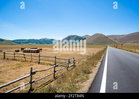 Leere und glatte gerade Straße über die malerische Pian Grande in Castelluccio di Norcia, Umbrien, Italien. Sommersaison Stockfoto