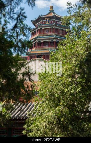 Historische chinesische oder asiatische Tempel durch grüne Wälder Stockfoto