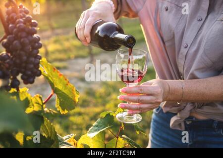 Frau gießt Rotwein aus der Flasche in das Trinkglas im Weinberg. Sommelierin, die Wein im Freien verkostet Stockfoto