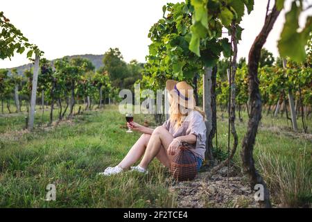 Frau trinkt Rotwein im Weinberg. Junger Bauer, der hausgemachten Wein verkostet. Genießen Sie die ruhige Szene bei Sonnenuntergang im Freien Stockfoto