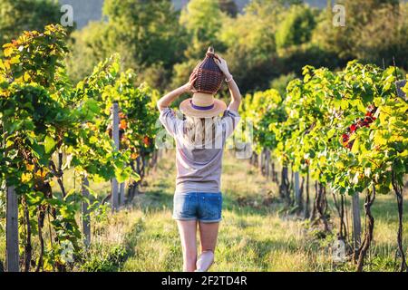 Frau mit Demijohn im Weinberg. Tradition Erntefest. Junge Frau hält die Ballonflasche mit Wein Stockfoto