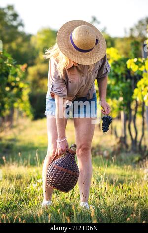 Frau, die am Weinberg Demijohn abholt. Junger Winzer mit Ballonflasche und Wein Stockfoto