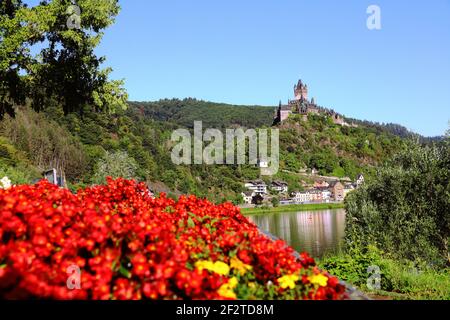 Schloss Cochem über Blumen Stockfoto