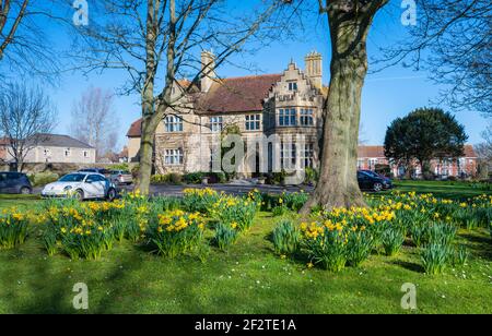 Niederlassung von Hargreaves Management Ltd. Im Rustington House in Rustington, West Sussex, England, Großbritannien. Aufgenommen im Frühjahr mit Narzissen im Vorgarten. Stockfoto