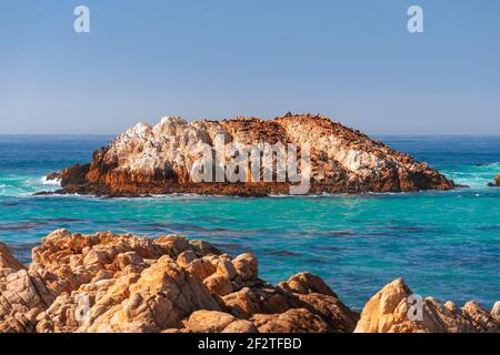 Wunderschöner Meerblick auf Seal Rock Beach mit Seelöwen auf dem Seal Rock (helle Farben) Greek Beach, 17 Mile Drive, San Francisco, Kalifornien, USA Stockfoto