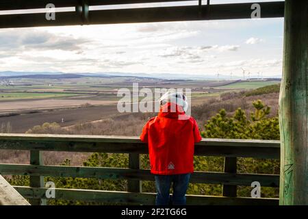 Kinderschöne österreichische Landschaft mit Windturbinen und Schneeberg vom Hubertus Aussichtsturm, Becsi-Domb, Sopron, Ungarn Stockfoto