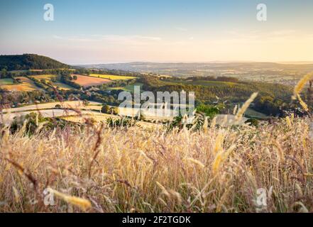 Ein warmer, ruhiger Blick über East Devon, am frühen Abend. Stockfoto
