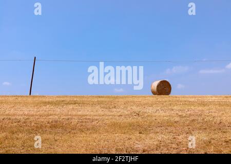Heu rollt auf einem frisch geschnittenen Feld gegen einen blauen Himmel. Minimalistisches Foto Stockfoto