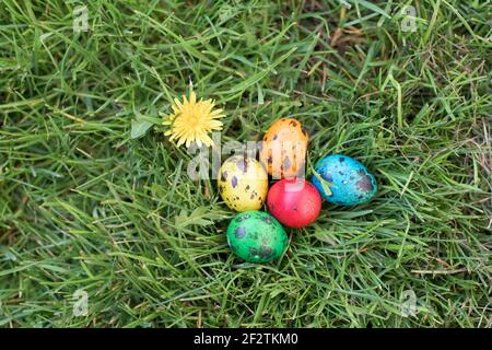 Versteckt im Gras Ostereier, die in verschiedenen Farben bemalt sind Stockfoto