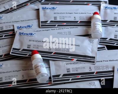 Wondfo Covid-19 oder Corona Antigen Test für schnelle Tests Stockfoto