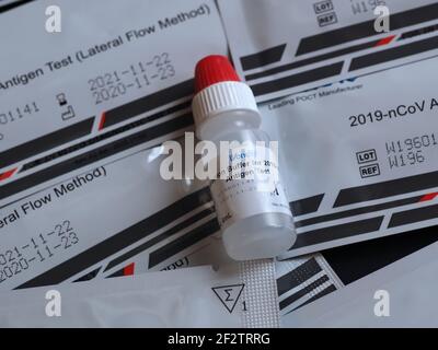 Wondfo Covid-19 oder Corona Antigen Test für schnelle Tests Stockfoto