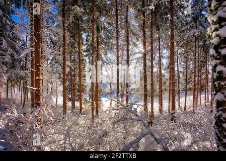 DE - BAYERN: Winterszene in Buchberg bei Bad Tölz (HDR-Bild) Stockfoto