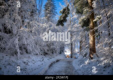 DE - BAYERN: Winterszene in Buchberg bei Bad Tölz (HDR-Bild) Stockfoto