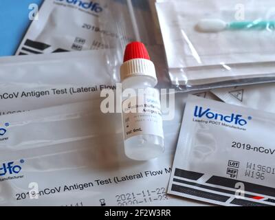 Wondfo Covid-19 oder Corona Antigen Test für schnelle Tests Stockfoto
