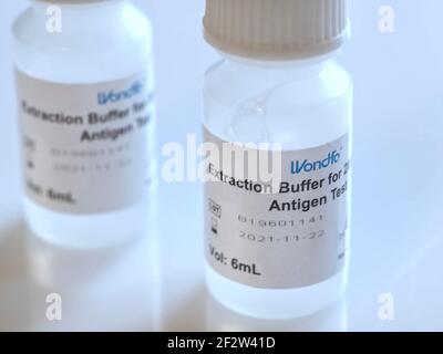 Wondfo Covid-19 oder Corona Antigen Test für schnelle Tests Stockfoto