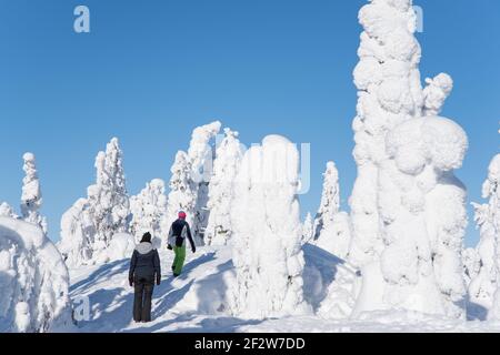 Zwei Frauen, die in einem verschneiten Wald im Koli National spazieren Park in Finnland Stockfoto