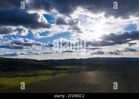 Sonnenlicht durchdringt niedrige Wolken und erhellt einen Weinberg in Livermore, Kalifornien. Einige der besten Weinberge der Welt gibt es in dieser Region. Stockfoto