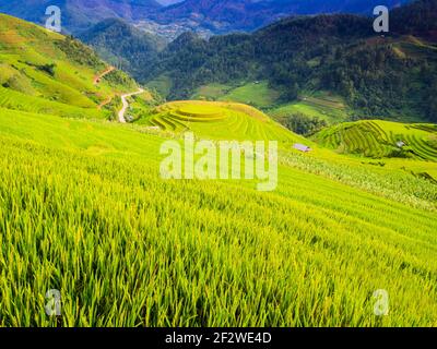 Mu Cang Chai typische Landschaft mit üppigen terrassenförmigen Reisfeldern, Yen Bai Provinz, Nordvietnam Stockfoto