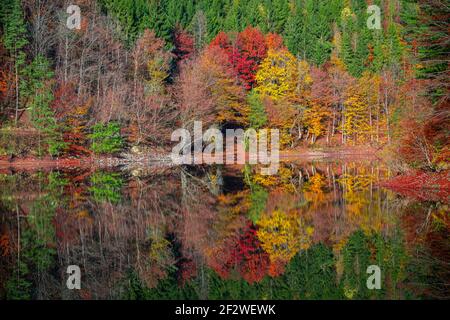 Herbstlandschaft in der Nähe des Sees Stockfoto