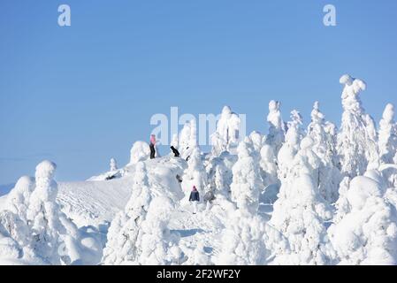 Eine Gruppe von Wanderern genießen die schöne Winterlandschaft in Koli Nationalpark Stockfoto