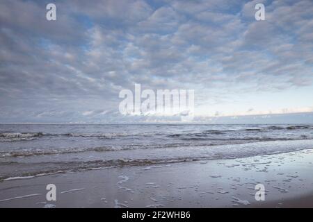 Schönes raues Meer mit Wellen und Sandstrand mit Schilf und trockenem Gras. Stockfoto