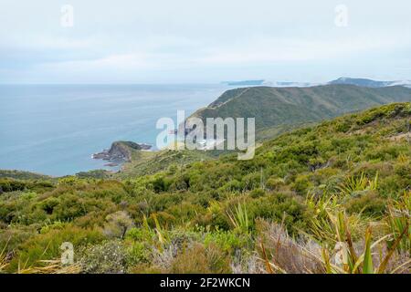 Küstenlandschaft rund um Cape Reinga auf der Nordinsel in Neuseeland Stockfoto