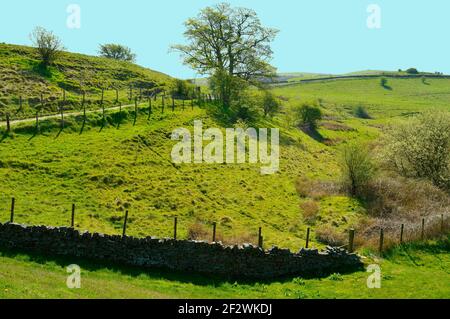 Littleborough Landschaft in Rochdale Lancashire von hollingworth Lake Country Park gesehen Stockfoto