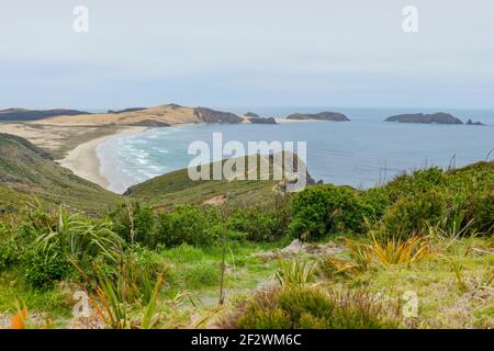 Küstenlandschaft rund um Cape Reinga auf der Nordinsel in Neuseeland Stockfoto