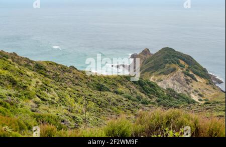 Küstenlandschaft rund um Cape Reinga auf der Nordinsel in Neuseeland Stockfoto