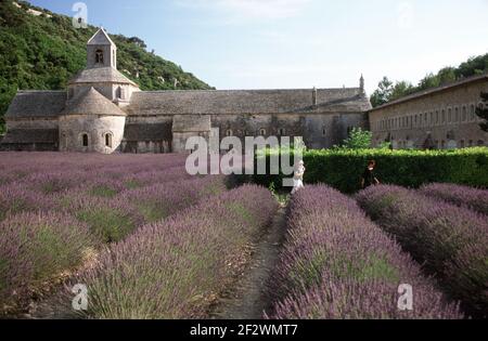 Abbaye Notre-Dame de Senanque Stockfoto