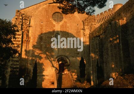 Abbaye de Montmajour, Abtei Montmajour, Stockfoto